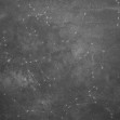 Zoodiac Sky V, Photowall