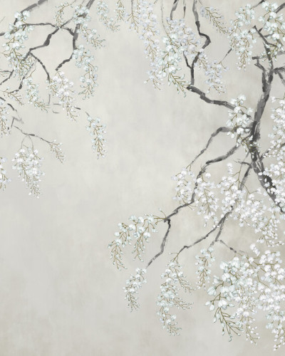 Tapet Blossom Wisteria cu flori albe și ramuri delicate