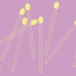 Matching Lines, Banana Pink, Photowall