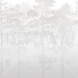 Misty Pine Forest, Grey, Photowall