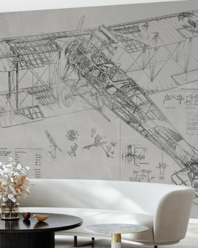 Avro 504K Airplane - Bright, Photowall, tapet cu avion