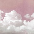 Fluffy Sky, Pink, Photowall