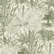 Succulents, Olive, Photowall