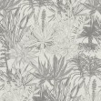 Succulents, Grey, Photowall