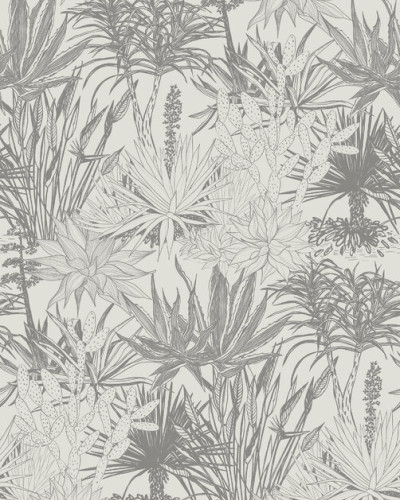 Succulents, Grey, Photowall