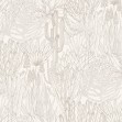 Euphorbia Forest, Bone, Photowall