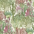 Euphorbia Forest, Paradise, Photowall
