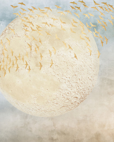 Swallows and Moon - Tapet perete cu păsări aurii și o lună mare
