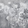 Maki Maki, Grey, Photowall