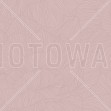 Rose, Lenient Pink, Photowall