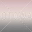 Miami, City Morning, Photowall