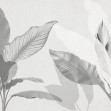 Wild Bouquet, Bw, Photowall
