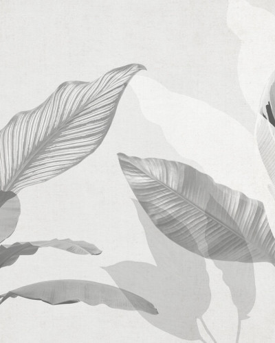 Wild Bouquet, Bw, Photowall