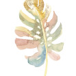 Boho Tropical Leaf on White II, Photowall