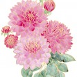 Decorative Flower IV, Photowall