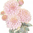 Decorative Flower V, Photowall