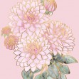 Decorative Flower VI, Photowall