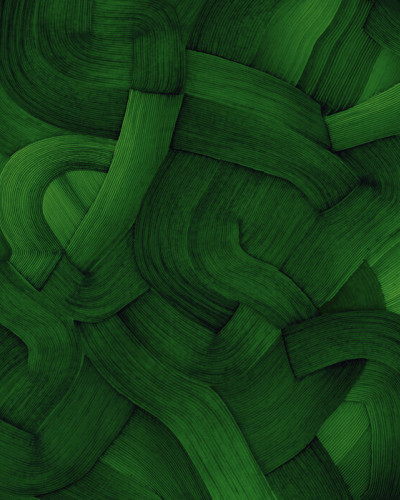 Tapet modern cu design unic, cu linii curbe și un ton de verde luxuriant.
