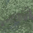 Green Forest in the Evening, Photowall