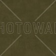 Antique Stone Wall, Decayed Green, Photowall
