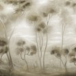 Luminous Landscape, Bright, Photowall