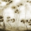 Luminous Landscape, Dramatic, Photowall