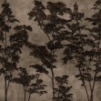 Maple Dreams, Photowall