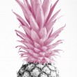 Pineapple Pink III, Photowall