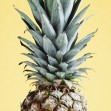 Pineapple Yellow III, Photowall