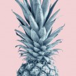 Pineapple Pink VI, Photowall