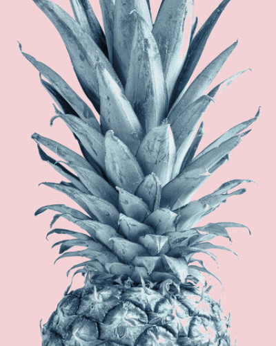 Fototapet Pineapple Pink VI, ananas albastru deschis pe fundal roz