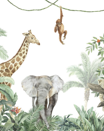 Jungle Friends with Elephant, Photowall