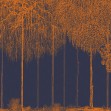 Trees Cascade, Harvest, Photowall