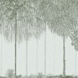 Trees Cascade, Jade, Photowall