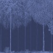 Trees Cascade, Lazuli, Photowall