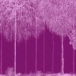Trees Cascade, Orchid, Photowall
