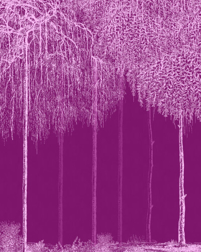 Un wallpaper cu un design elegant, reprezentând o cascadă de copaci albaștri pe un fundal magenta vibrant.
