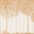 Trees Cascade, Sundial, Photowall