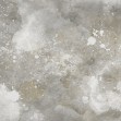 Color Splash, Greyish, Photowall