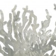 Stone Macro Coral III, Photowall