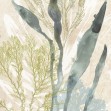 Vintage Ocean Jewels, Photowall