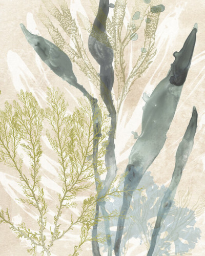 Tapet vintage cu design abstract inspirat de lumea marină, în nuanțe delicate de verde și bej. Perfect pentru living, dormitor sau bucătărie.