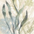 Vintage Ocean Jewels II, Photowall