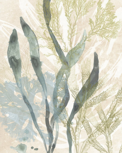 Tapet cu design artistic Vintage Ocean Jewels II de Photowall