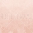 Coral Concrete, Peach, Photowall
