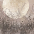 Moonlight Weeds, Photowall