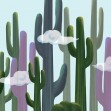 Cactus Cloud, Photowall