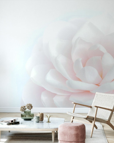 Tapet cu o floare roz pastelata, ideal pentru decorarea livingului sau dormitorului.