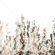 Painted Forest, Honey, Photowall