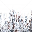Painted Forest, Mint, Photowall